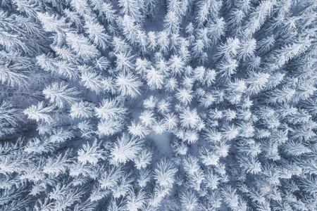 Canvastavla - Multipart Aerial View of the Winter