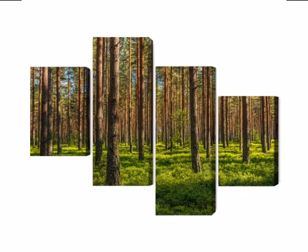 Canvastavla - Multipart D Pine Forest