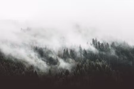 Canvastavla - Multipart Misty D Forest Landscape