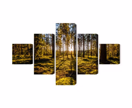 Canvastavla - Multipart Morning Sun Rays in the