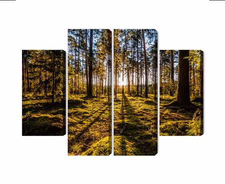 Canvastavla - Multipart Morning Sun Rays in the