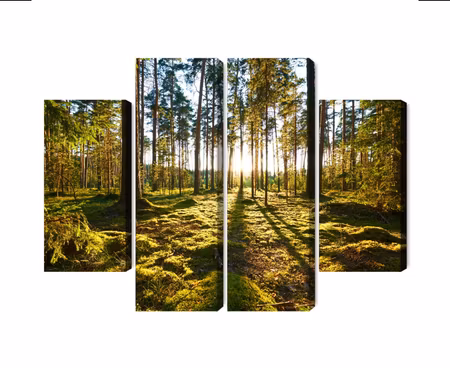 Canvastavla - Multipart Forest Landscape with