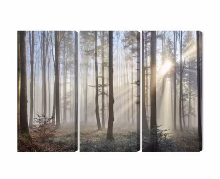 Canvastavla - Multipart Sunrise in the Woods