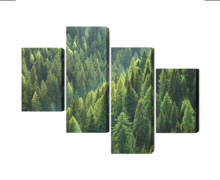 Canvastavla - Multipart the Green of the Forest