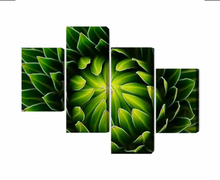 Canvastavla - Multipart Green Plant on a Macro