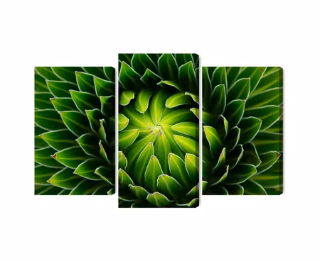 Canvastavla - Multipart Green Plant on a Macro