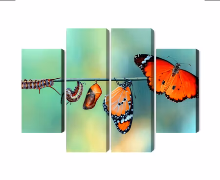 Canvastavla - Multipart Colorful Caterpillars and