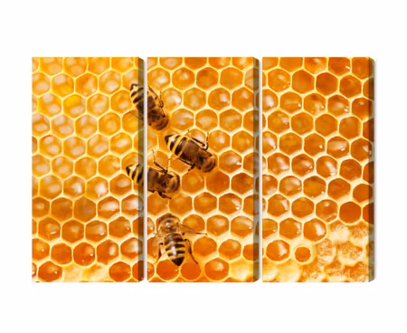 Canvastavla - Multipart Bees on the Honeycomb