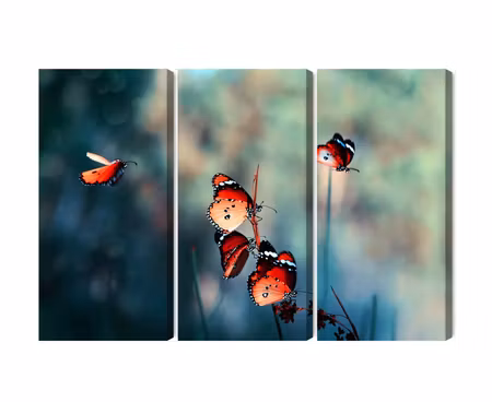 Canvastavla - Multipart Colorful Butterflies on a