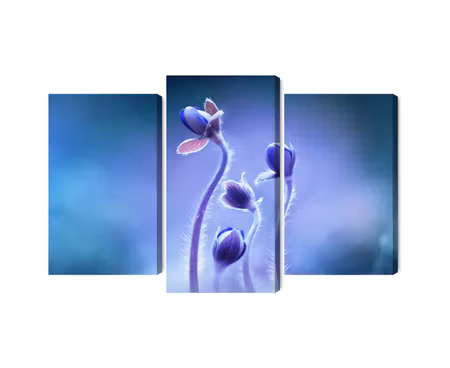 Canvastavla - Multipart Delicate Flowers on a