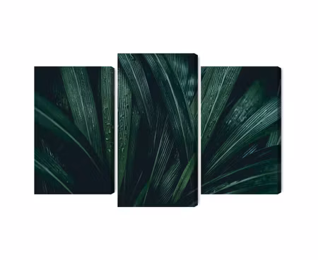 Canvastavla - Multipart Dark Green Leaves on a