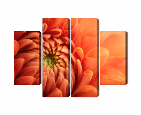 Canvastavla - Multipart Orange Chrysanthemum on a