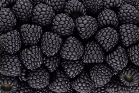 Canvastavla - Multipart Blackberries on a Macro