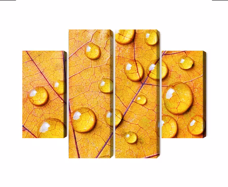 Canvastavla - Multipart Water Drops on an Autumn