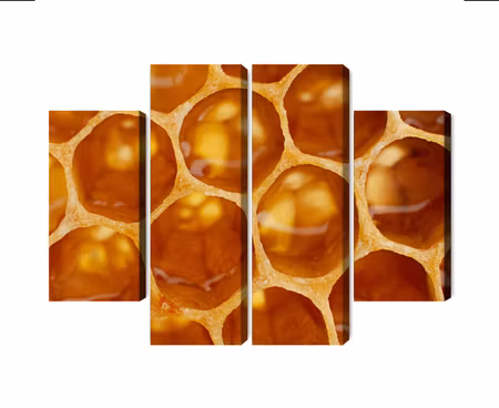 Canvastavla - Multipart Honeycomb in Macro Scale