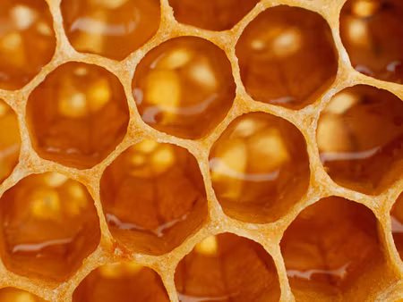 Canvastavla - Multipart Honeycomb in Macro Scale