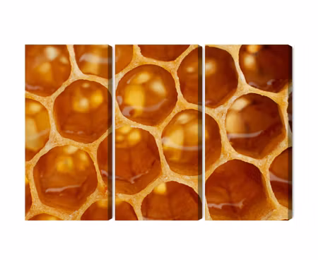 Canvastavla - Multipart Honeycomb in Macro Scale