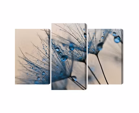 Canvastavla - Multipart Dandelions with Water