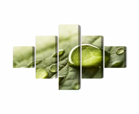 Canvastavla - Multipart Water Drops on a Leaf on