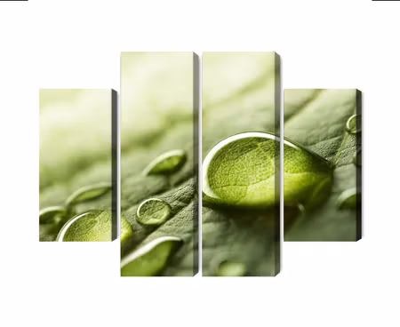 Canvastavla - Multipart Water Drops on a Leaf on
