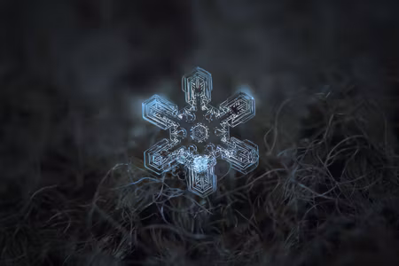 Canvastavla - Multipart Snow Flake in D Macro