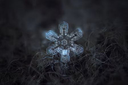 Canvastavla - Multipart Snow Flake in D Macro