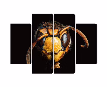 Canvastavla - Multipart Hornet on a Macro Scale