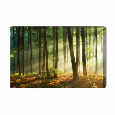 Canvastavla - Of a Beautiful Morning in the Woods
