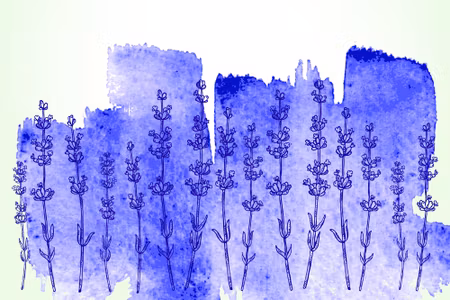 Canvastavla - Watercolor Lavender Background