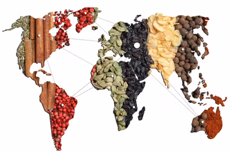 Canvastavla - World Map of Spices