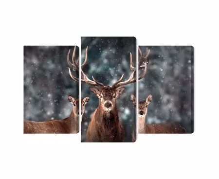 Canvastavla - Multipart a Deer and Two Does in