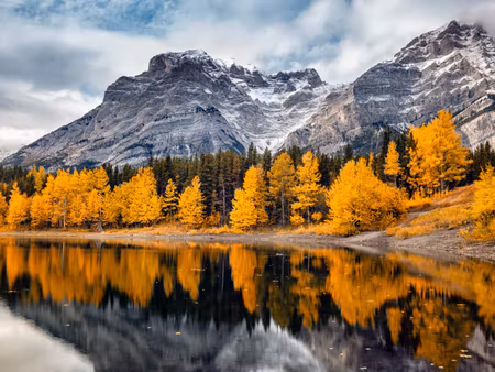 Canvastavla - Multipart Banff National Park in