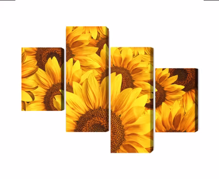 Canvastavla - Multipart D Sunflower Flowers