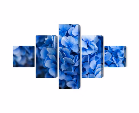 Canvastavla - Multipart Blue Hydrangea Flowers