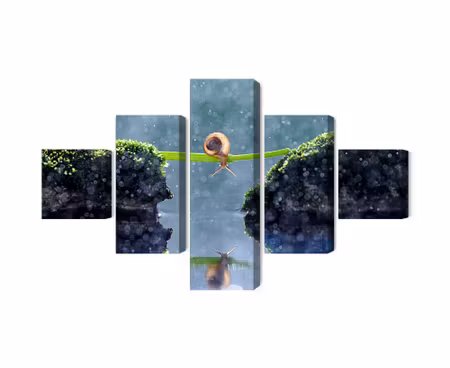 Canvastavla - Multipart Snail in the Rain