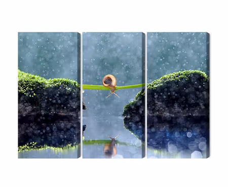 Canvastavla - Multipart Snail in the Rain