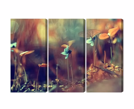 Canvastavla - Multipart Delicate Plants on a