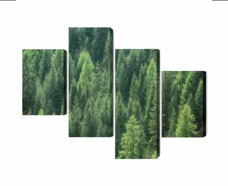 Canvastavla - Multipart D Green Forest View