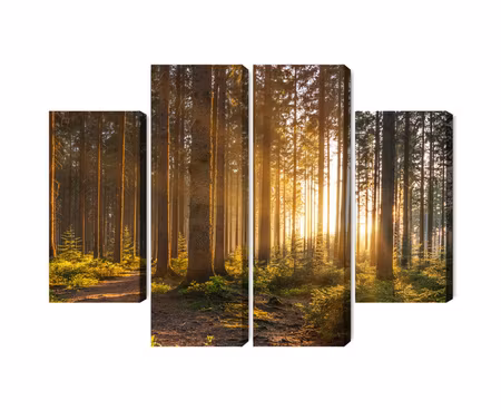 Canvastavla - Multipart Sunset in the Forest