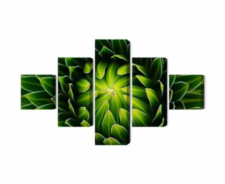 Canvastavla - Multipart Green Plant on a Macro