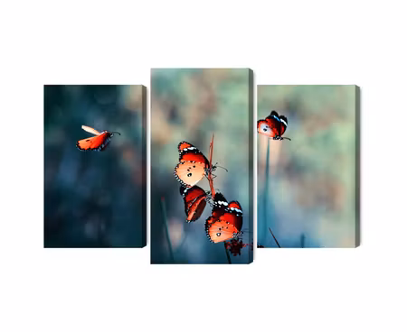 Canvastavla - Multipart Colorful Butterflies on a
