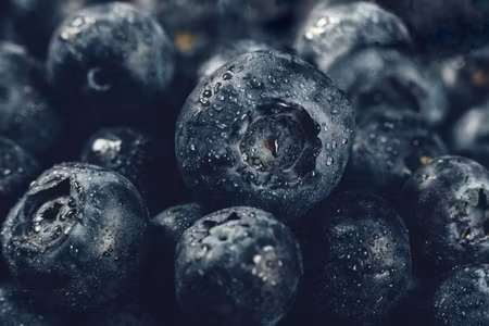 Canvastavla - Multipart Blueberries Close Up D