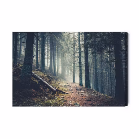 Canvastavla - Trail in a Dark Pine Forest on the