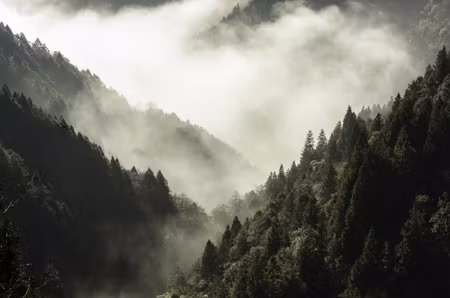 Canvastavla - High Mountain in Mist and Cloud