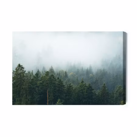 Canvastavla - Amazing Mystical Rising Fog Forest