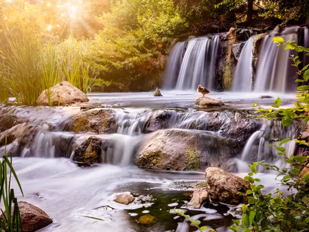 Canvastavla - Multipart Waterfall At Sunset