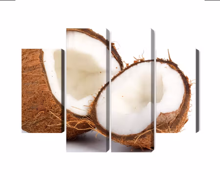Canvastavla - Multipart Coconut Halves