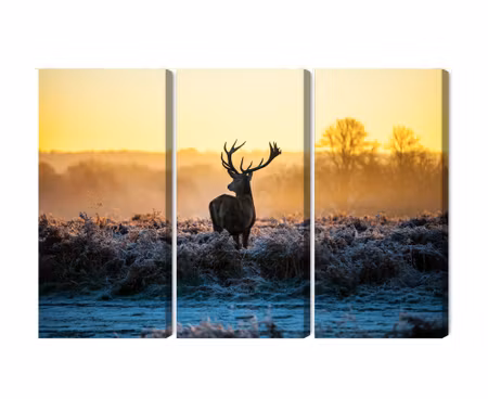 Canvastavla - Multipart Deer in the Rut in D