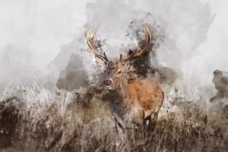 Canvastavla - Multipart a Deer Painted with D