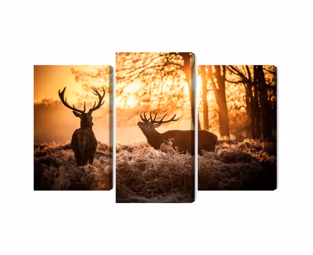 Canvastavla - Multipart Two Deer in the Forest At